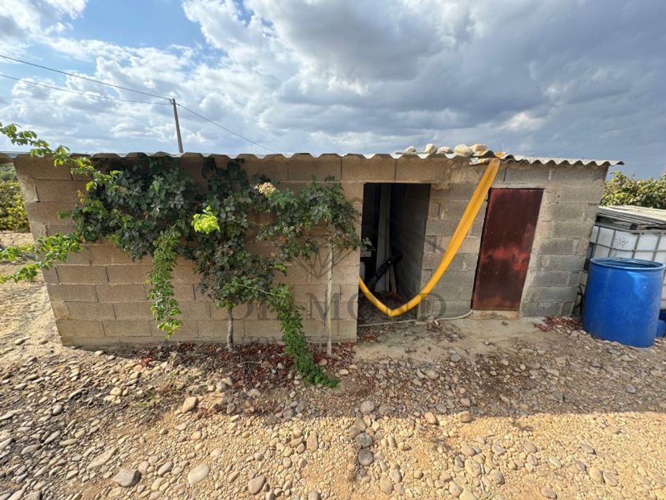 Helårsgrund i Alpiarca, Santarem - foto 5