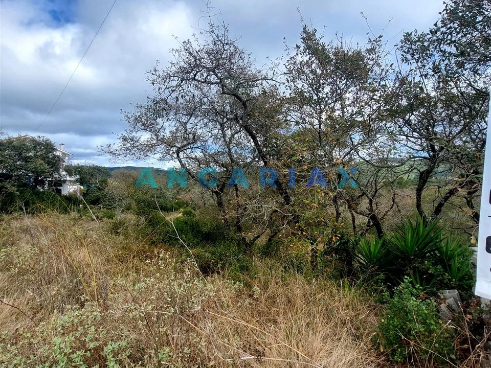 Helårsgrund i Porto de Mos, Leiria - foto 3