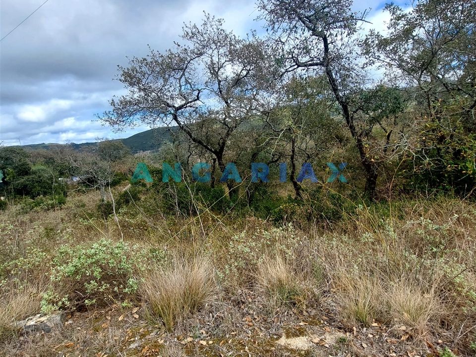Helårsgrund i Porto de Mos, Leiria - foto 2