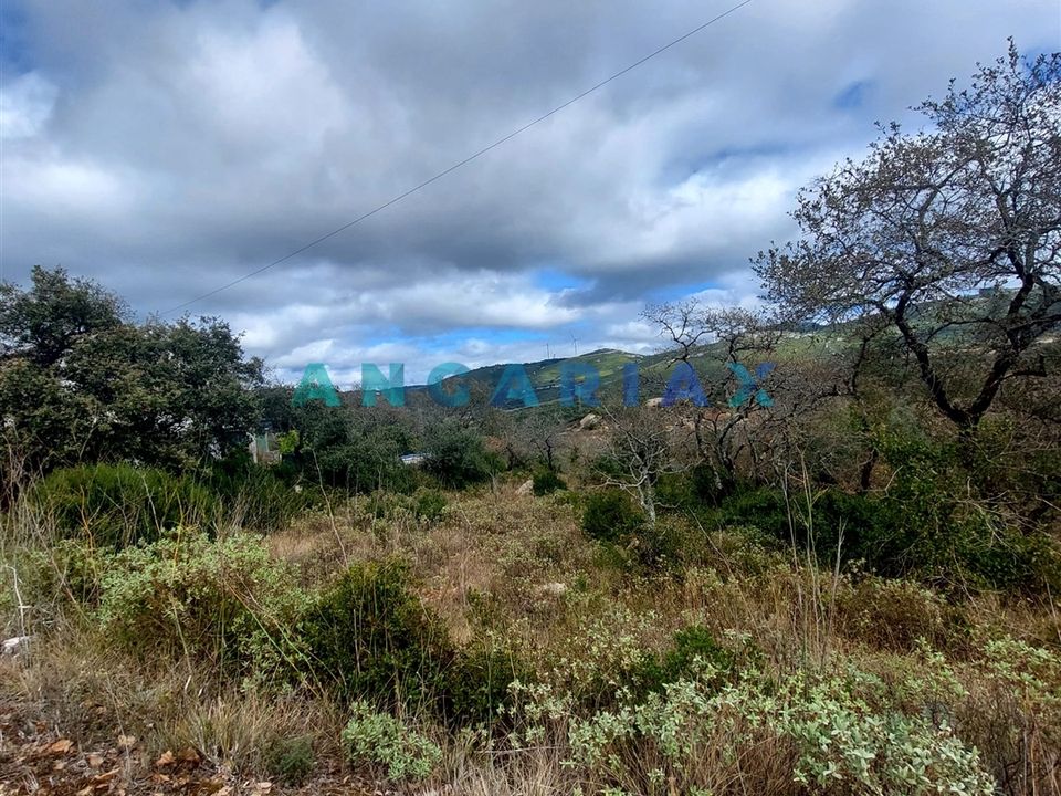 Helårsgrund i Porto de Mos, Leiria - foto 1
