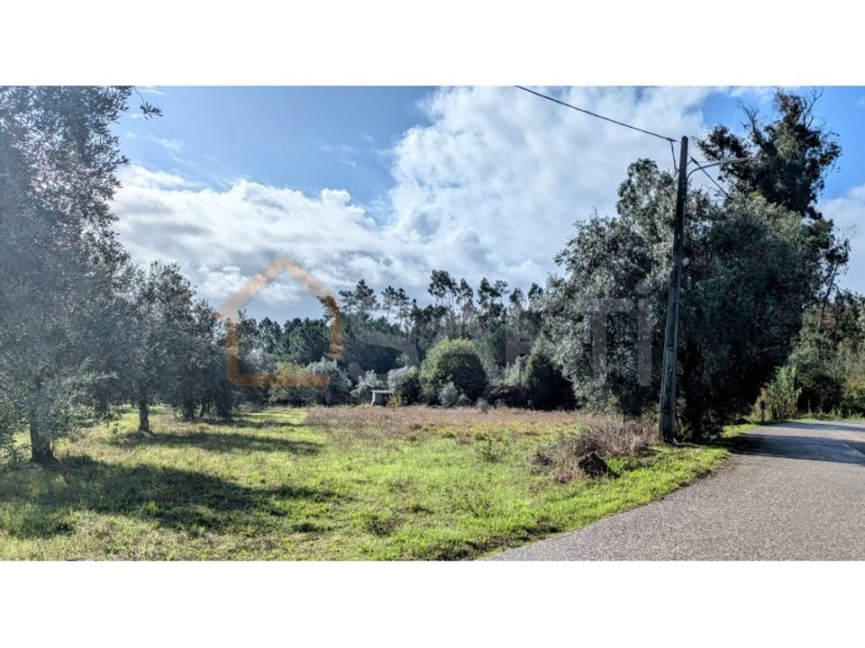 Helårsgrund i Pombal, Leiria - foto 2