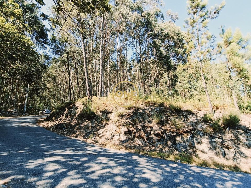 Helårsgrund i Vila Verde, Braga - foto 2