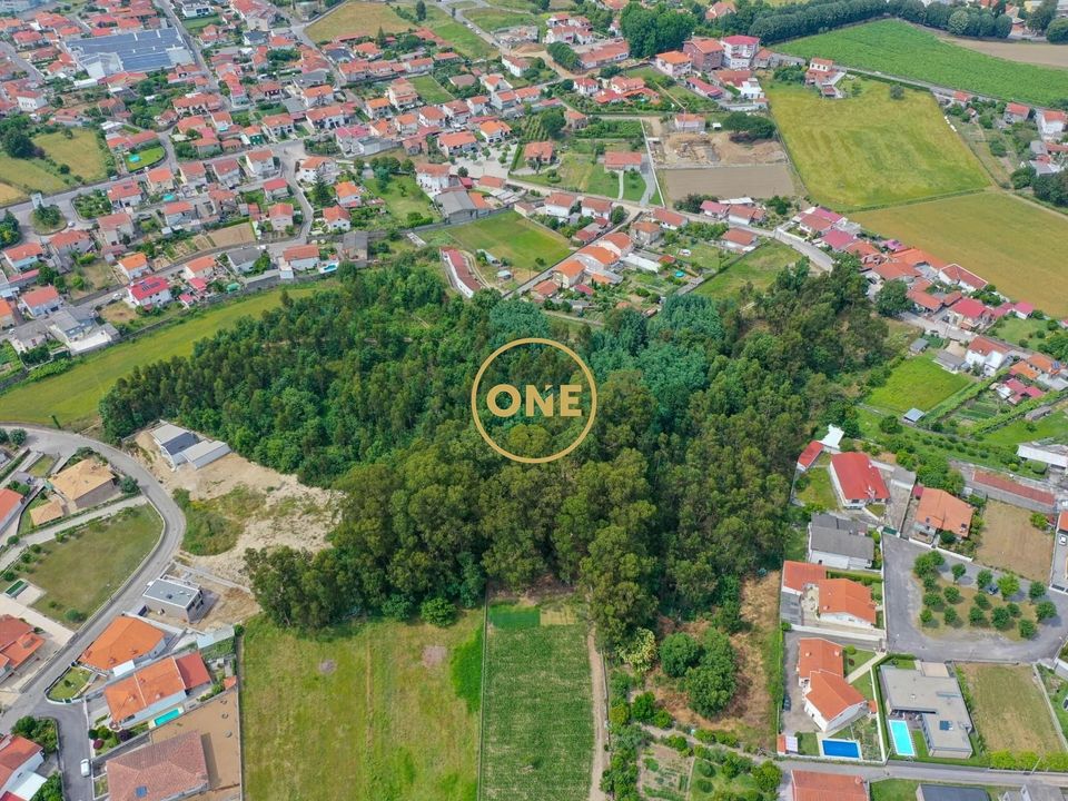 Helårsgrund i Santo Tirso, Porto - foto 4