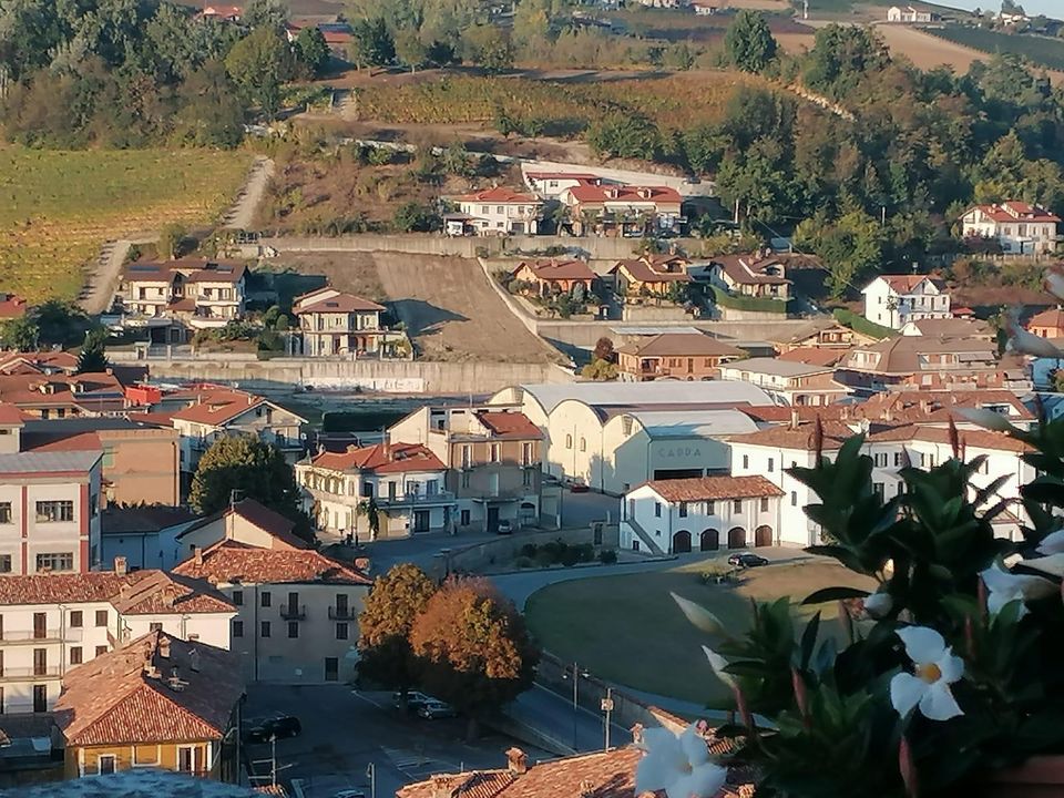 Tomt i Dogliani, Cuneo - bilde 2