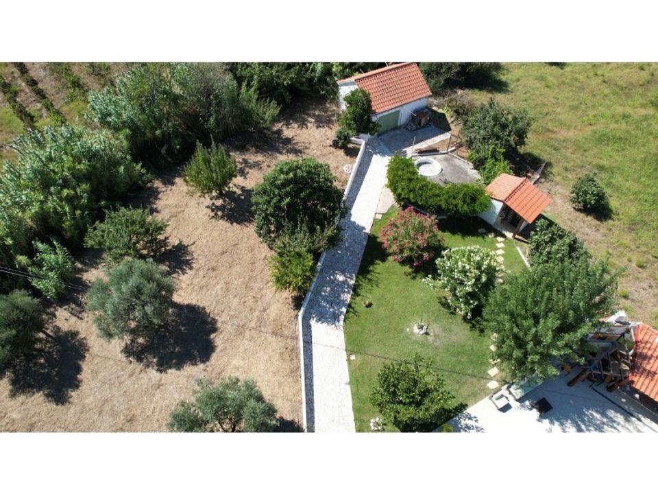 Granja a Tomar, Santarem - foto 5