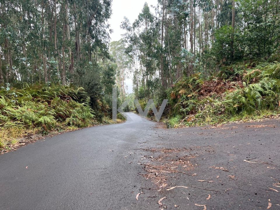 Helårsgrund i Ponta do Sol, Madeira - foto 4