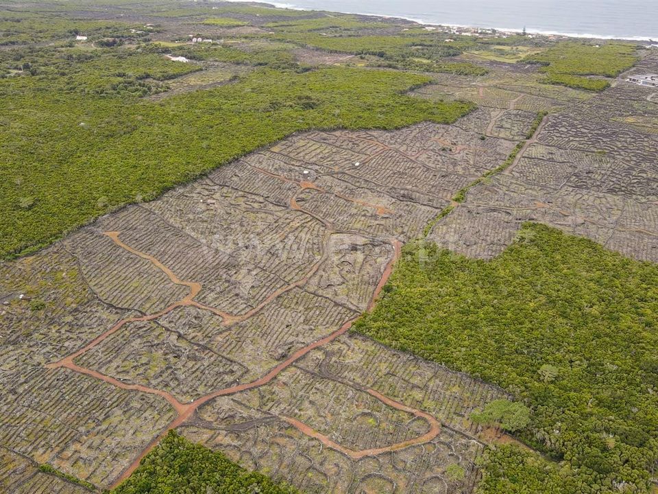 Helårsgrund i Madalena, Pico - foto 2