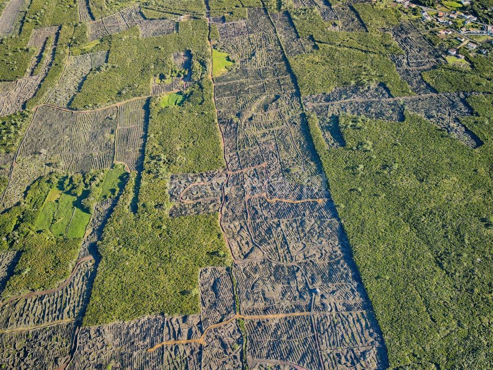 Helårsgrund i Madalena, Pico - foto 4