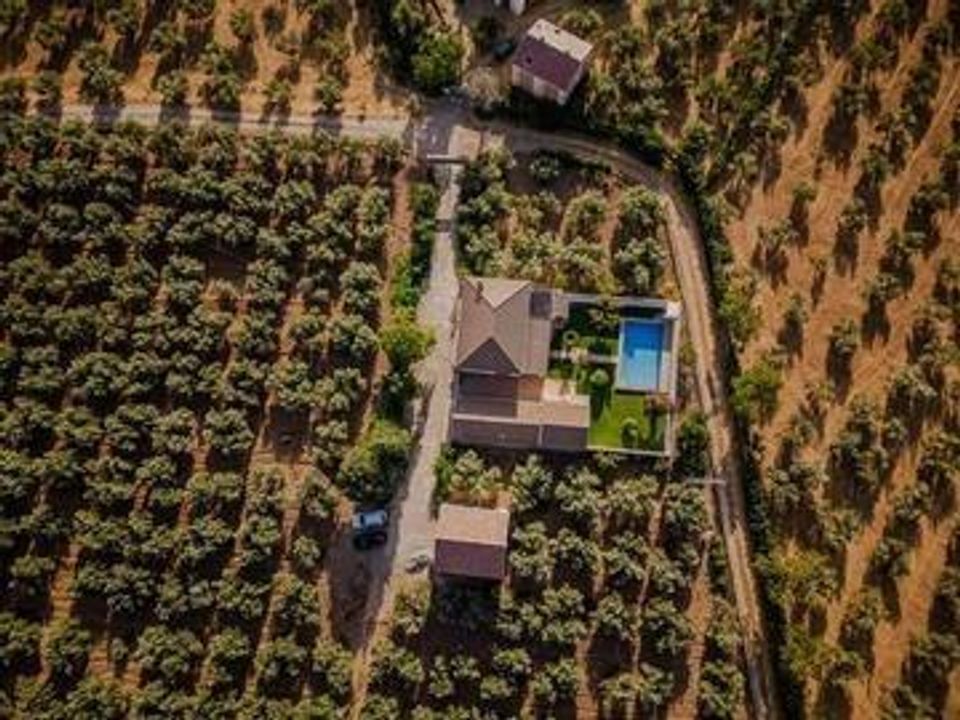 Villa i Moraleda De Zafayona, Granada - foto 4
