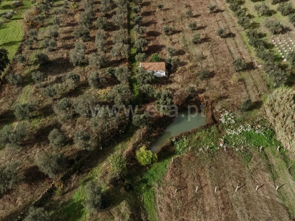 Helårsgrund i Fundao, Castelo Branco - foto 2