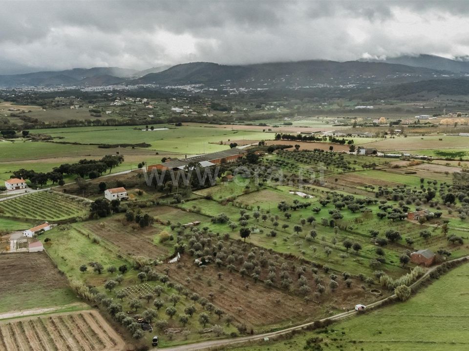 Helårsgrund i Fundao, Castelo Branco - foto 4