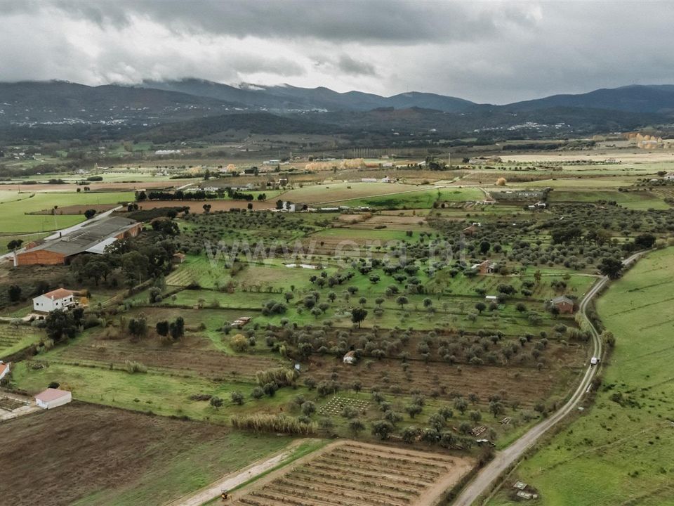 Helårsgrund i Fundao, Castelo Branco - foto 5