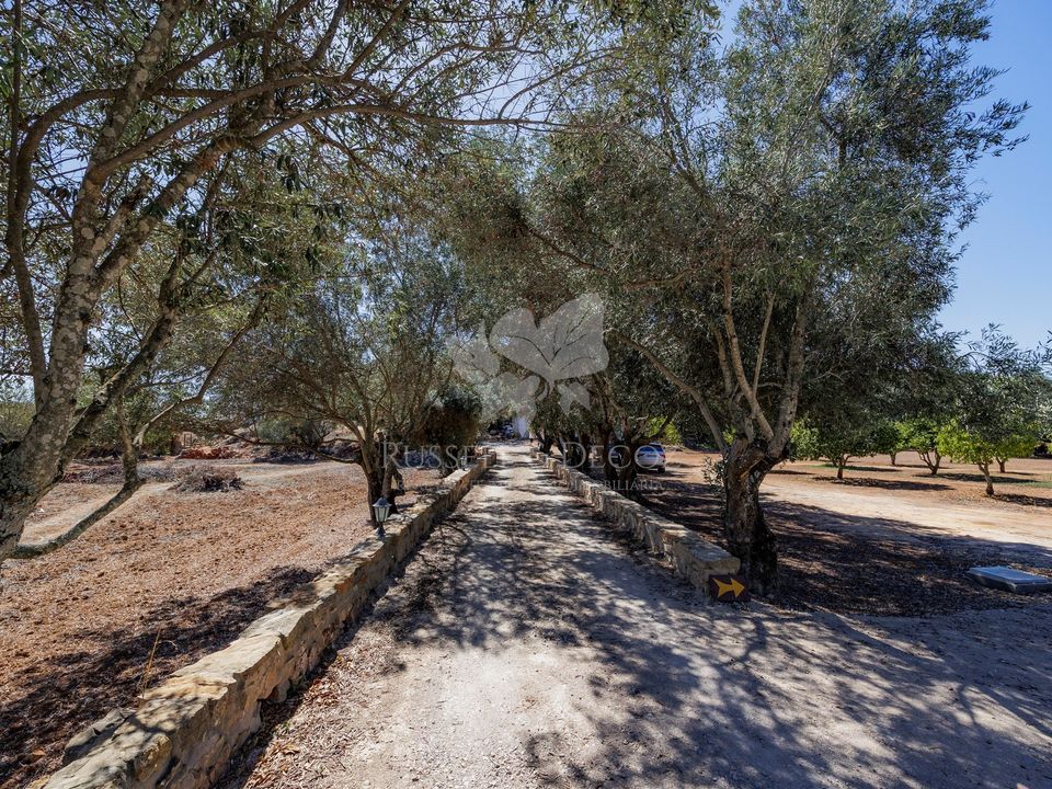 Masia a Santa Barbara de Nexe, Faro - foto 2