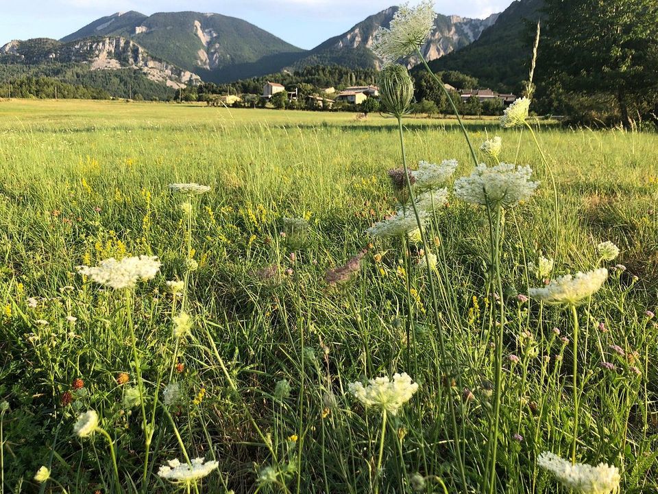 Villa i Sisteron, Alpes-de-Haute-Provence - foto 3