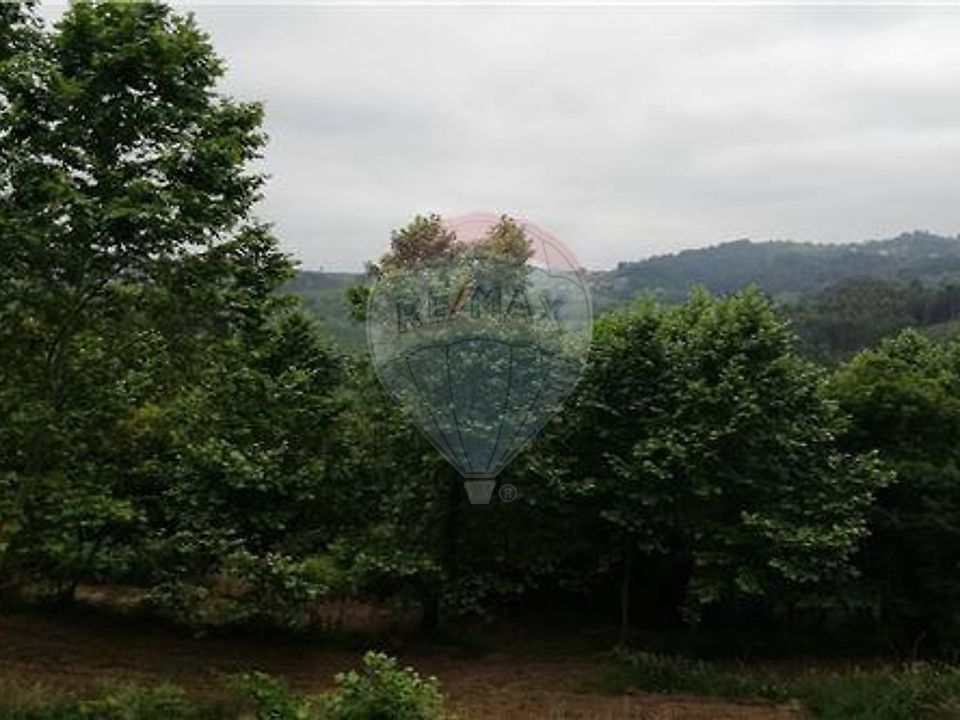 Helårsgrund i Cabeceiras de Basto, Braga - foto 3