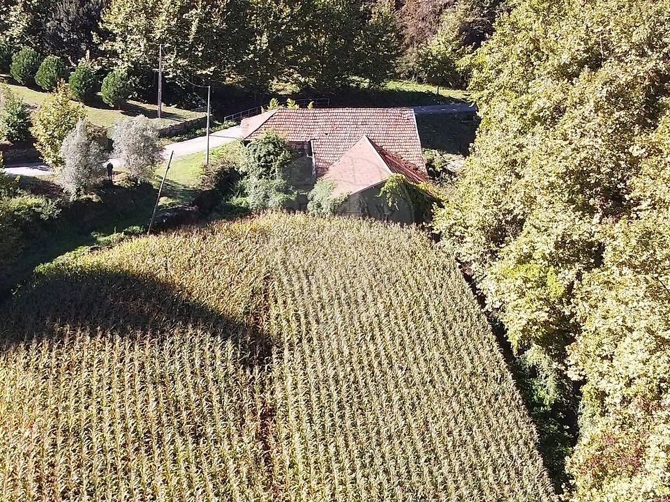 Villa i Celorico de Basto, Braga - foto 3