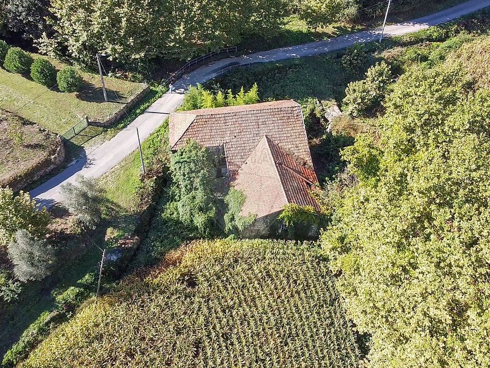 Villa i Celorico de Basto, Braga - foto 4