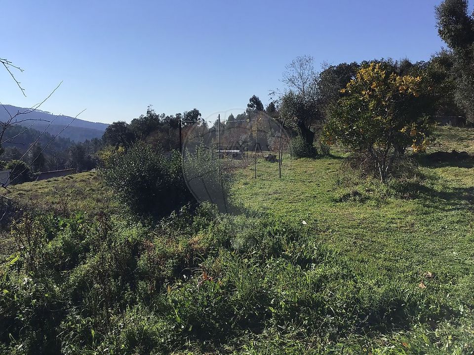 Helårsgrund i Mondim de Basto, Vila Real - foto 3