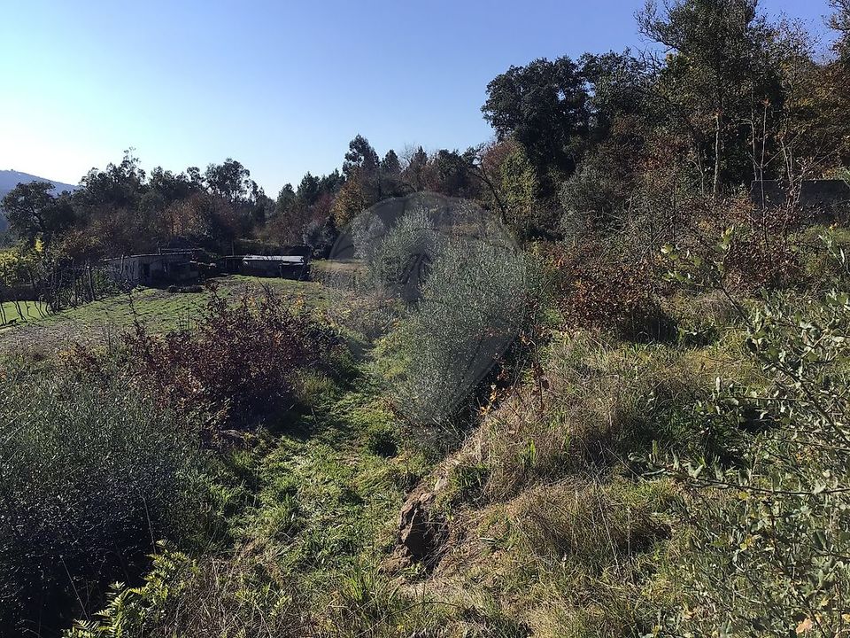 Helårsgrund i Mondim de Basto, Vila Real - foto 4