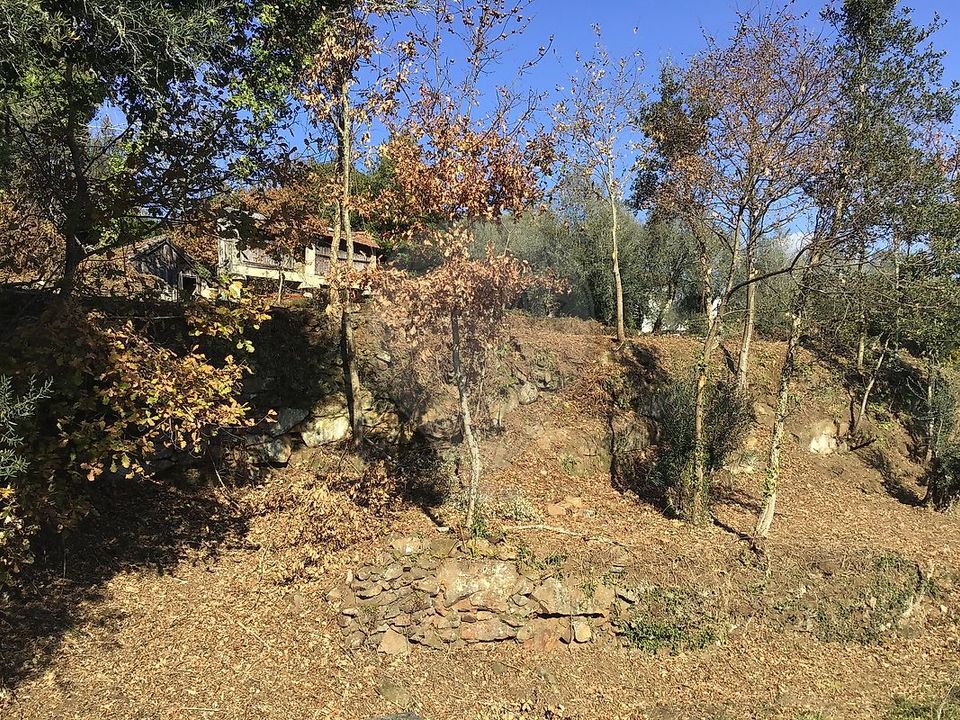 Helårsgrund i Mondim de Basto, Vila Real - foto 5