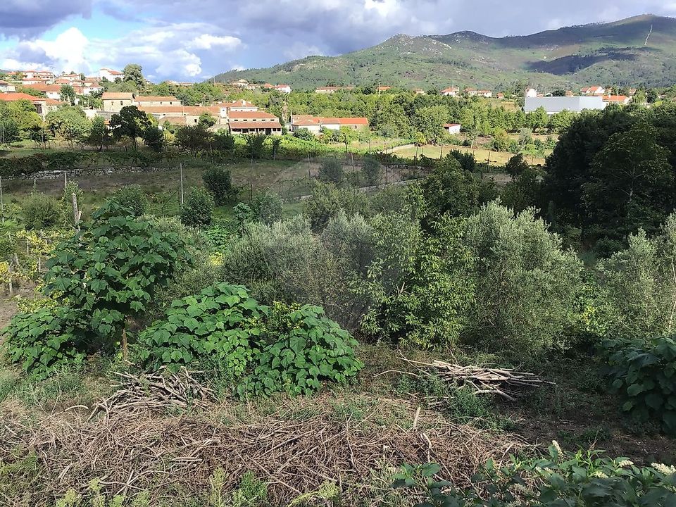 Helårsgrund i Cabeceiras de Basto, Braga - foto 2