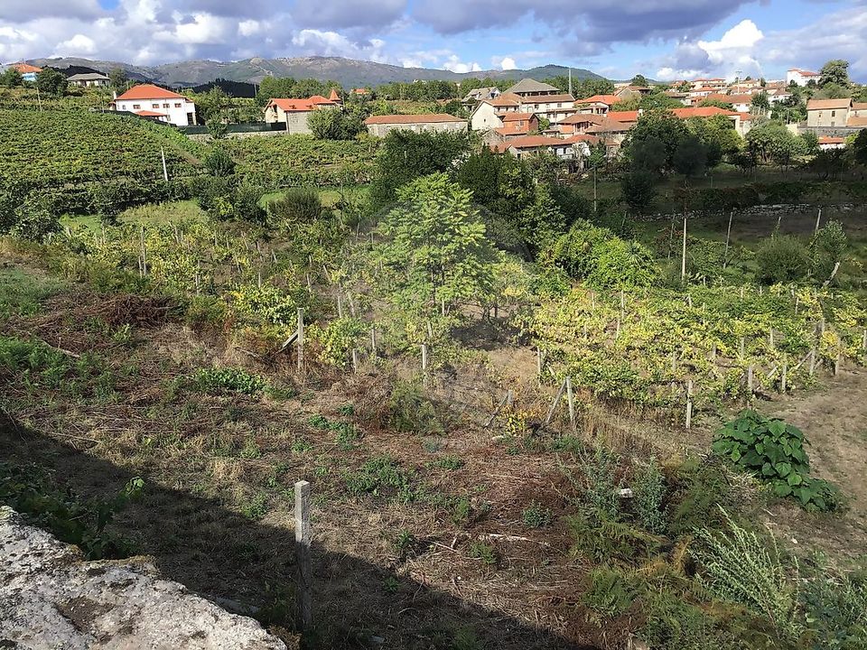 Helårsgrund i Cabeceiras de Basto, Braga - foto 3