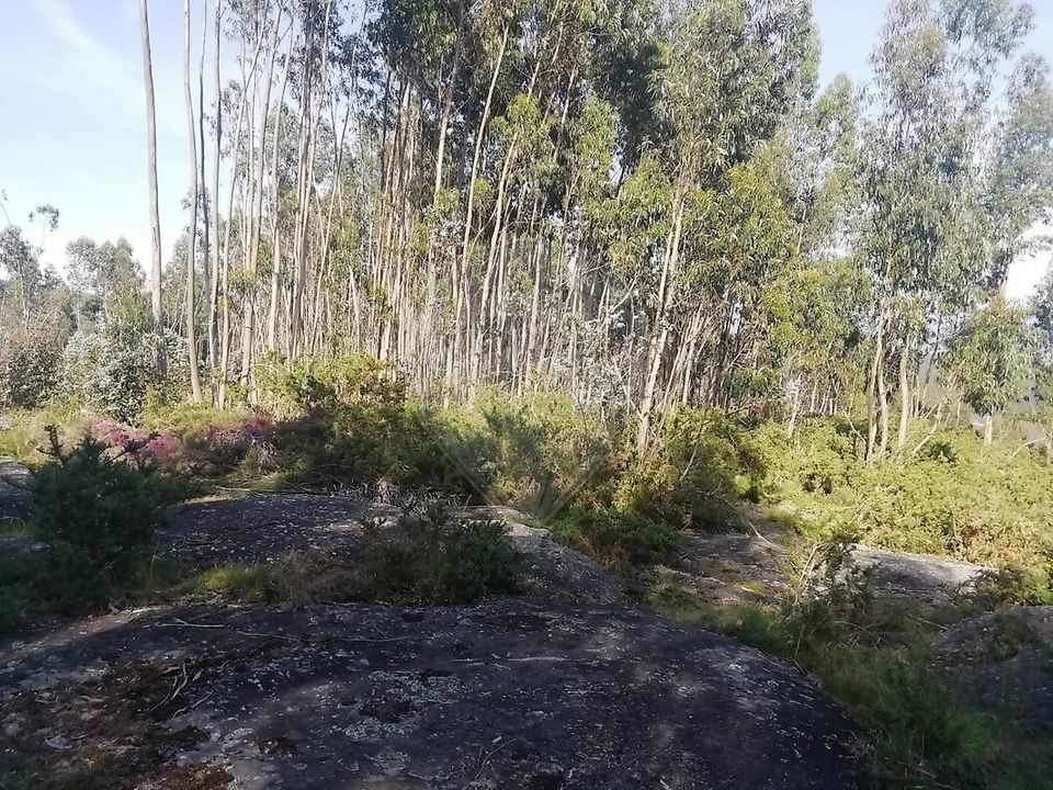 Helårsgrund i Guimaraes, Braga - foto 1