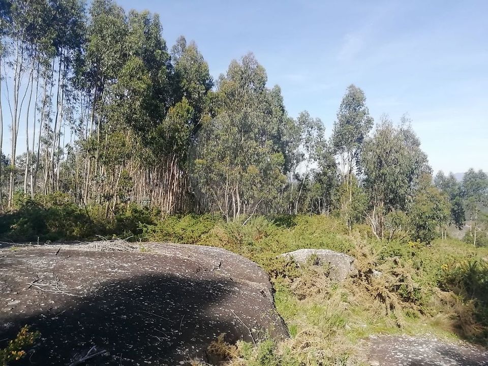 Helårsgrund i Guimaraes, Braga - foto 2
