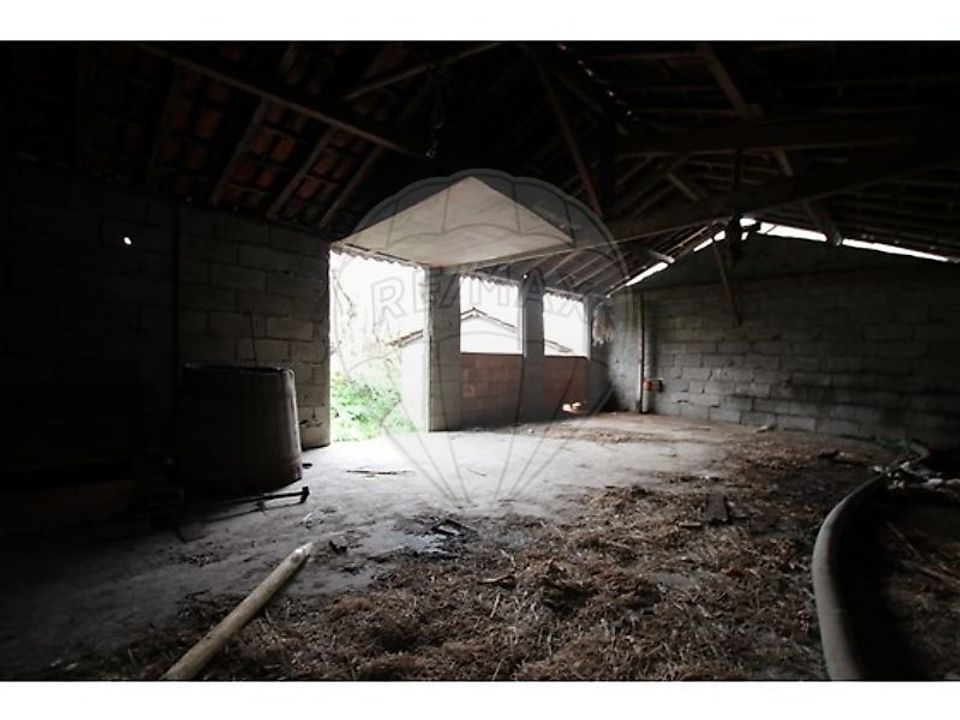 Villa i Vieira do Minho, Braga - foto 4