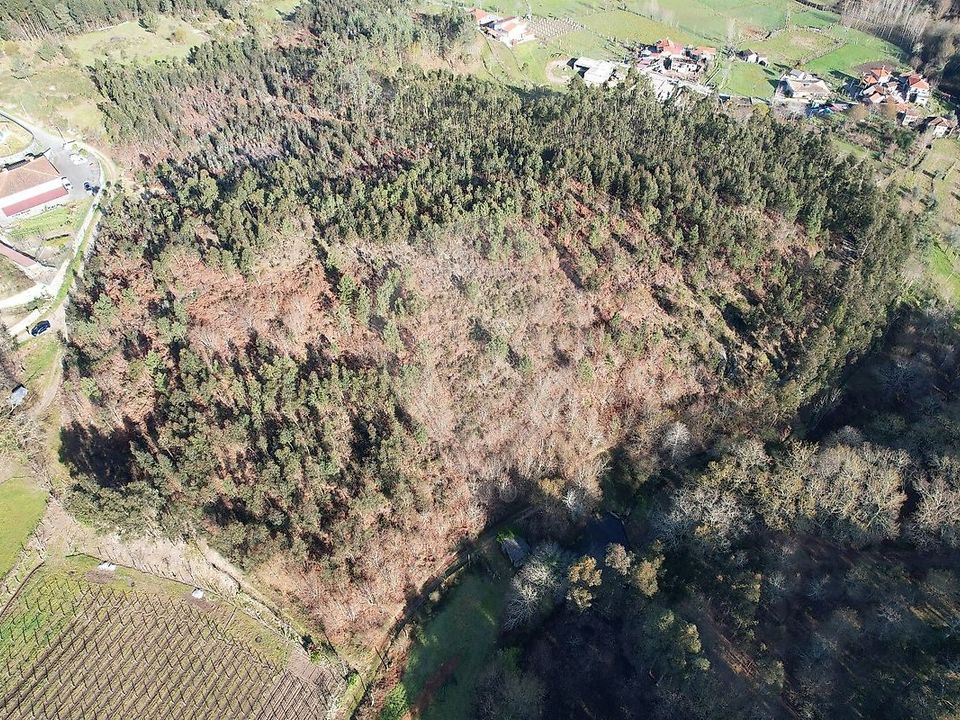 Helårsgrund i Fafe, Braga - foto 1
