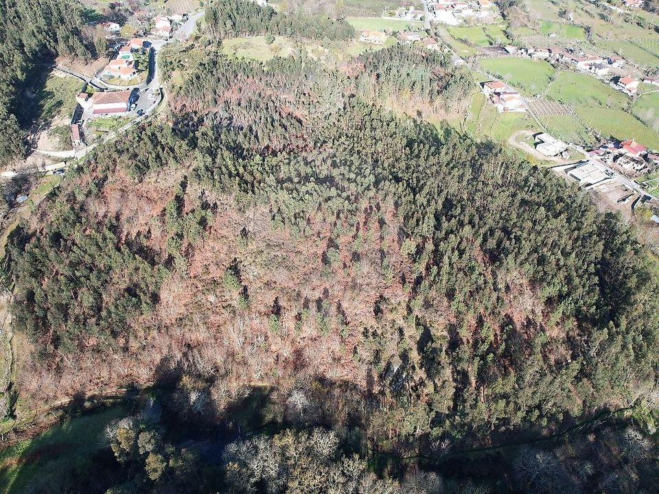 Helårsgrund i Fafe, Braga - foto 2