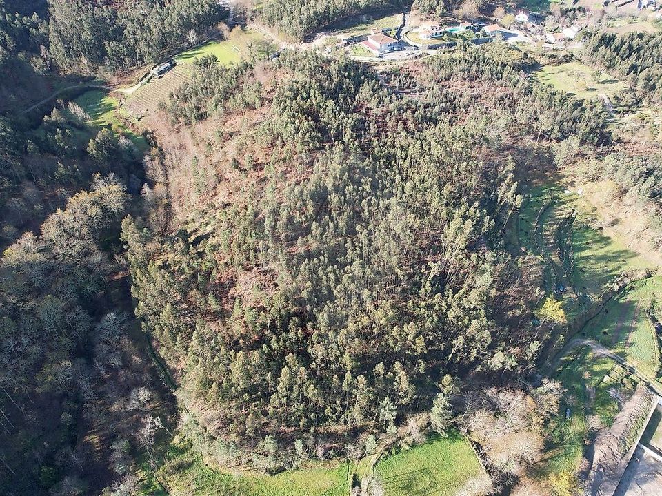 Helårsgrund i Fafe, Braga - foto 3