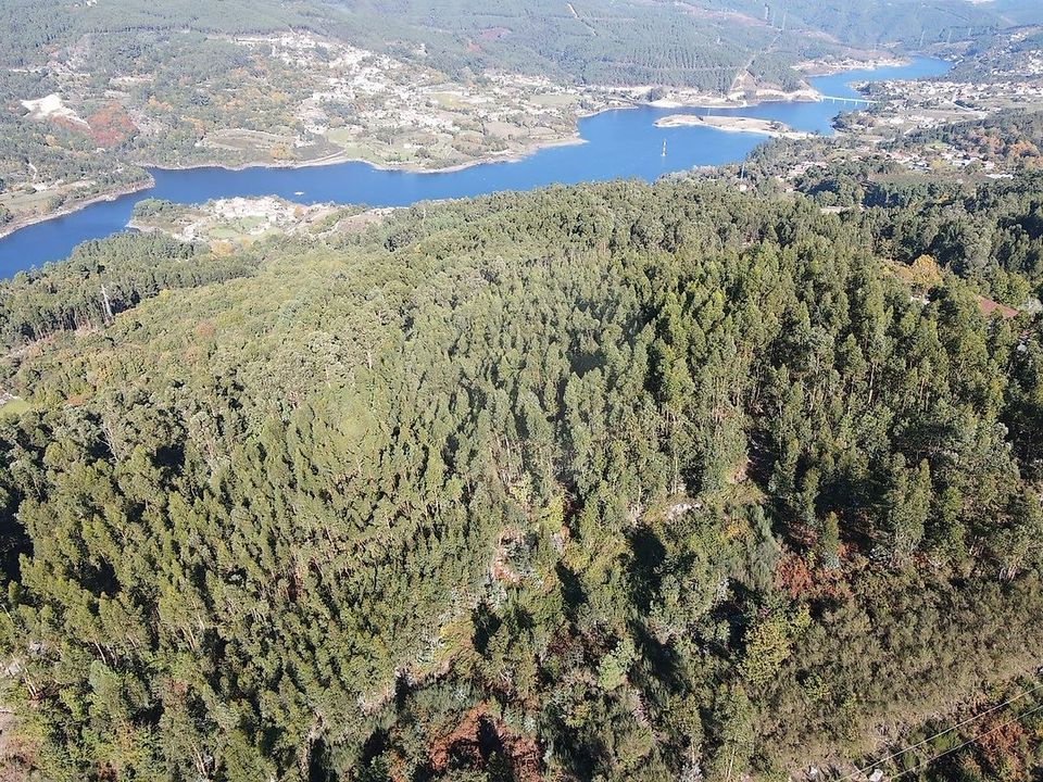 Tomt i Ribeira de Pena, Vila Real - bilde 1