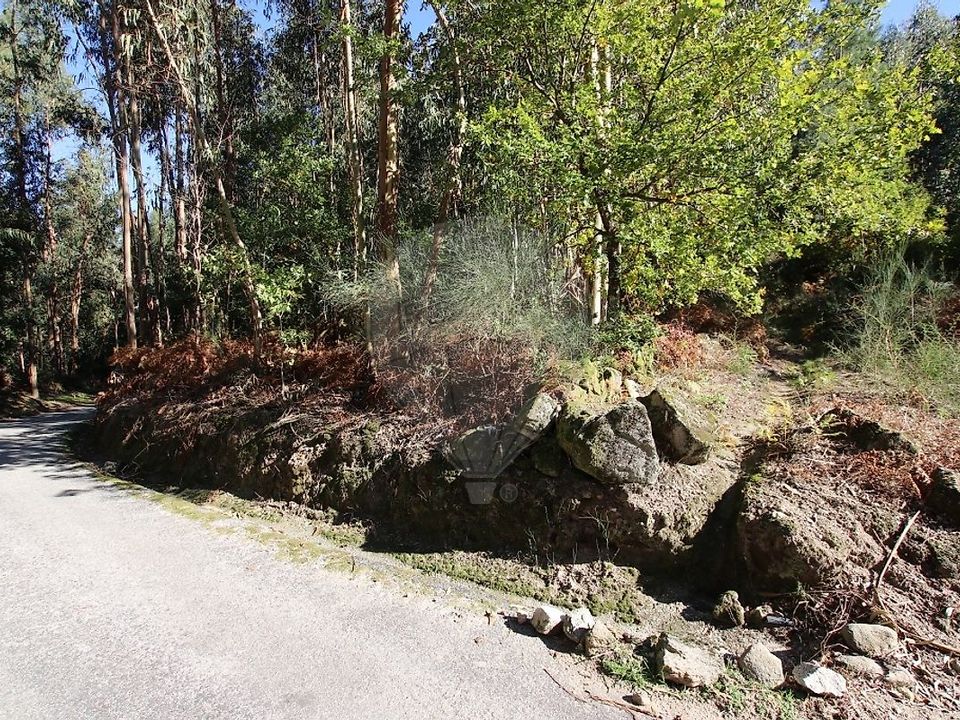 Tomt i Ribeira de Pena, Vila Real - bilde 4