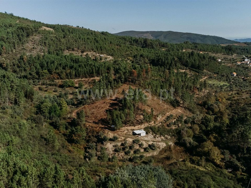 Landejendom i Fundao, Castelo Branco - foto 3