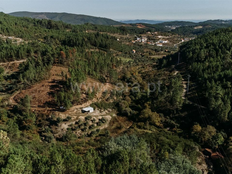 Landejendom i Fundao, Castelo Branco - foto 4