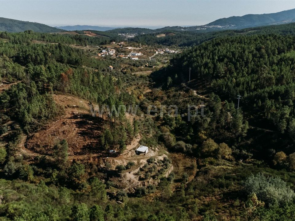 Landejendom i Fundao, Castelo Branco - foto 5