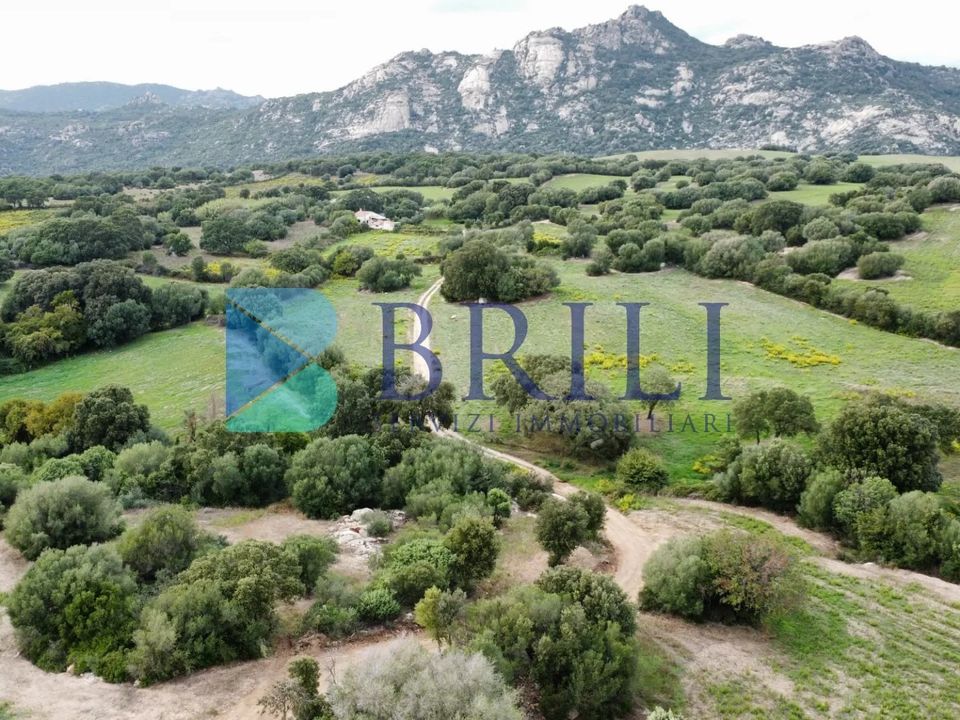Helårsgrund i Telti, Olbia Tempio - foto 2