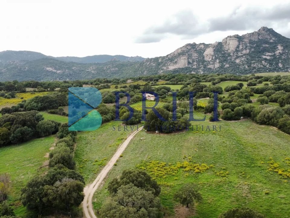 Helårsgrund i Telti, Olbia Tempio - foto 5