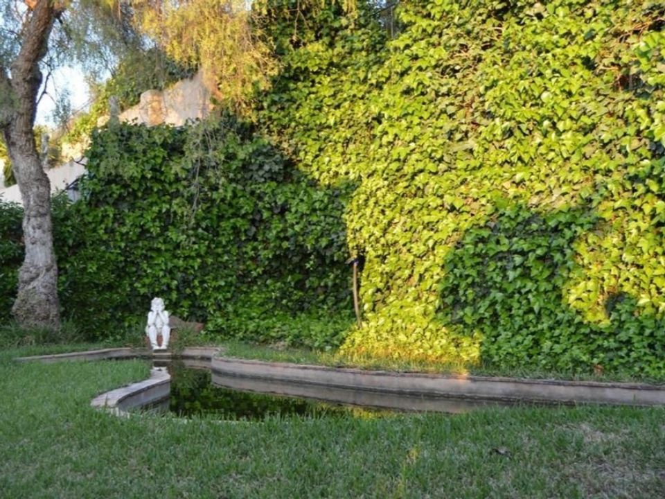 Villa i Silves, Faro - foto 5