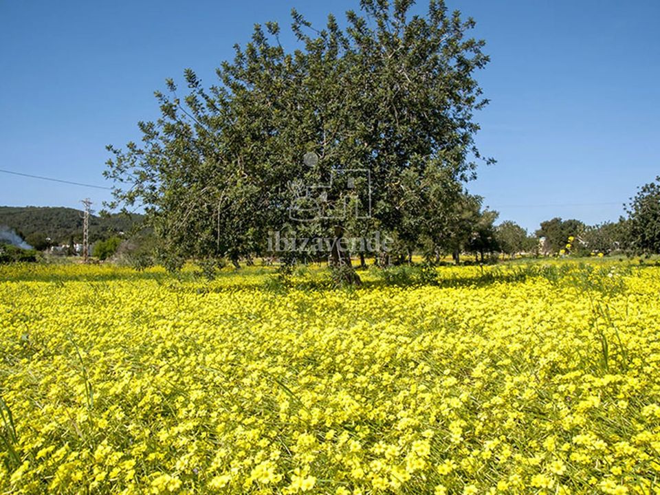 Finca i Sant Joan de Labritja, Ibiza - foto 4