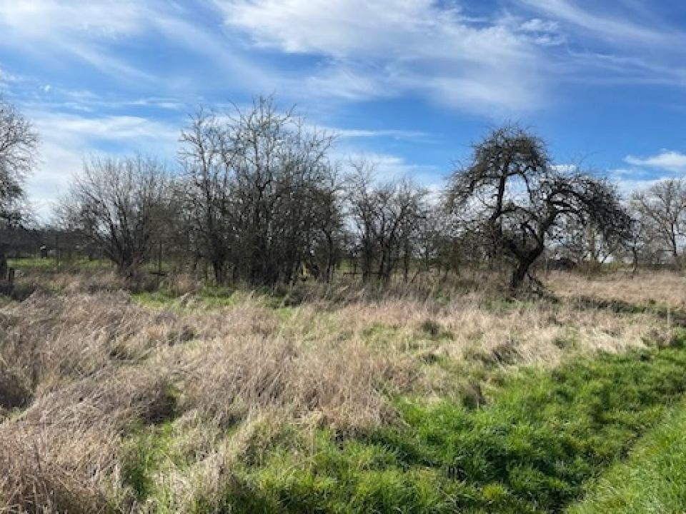 Helårsgrund i Arracourt, Meurthe-et-Moselle - foto 1