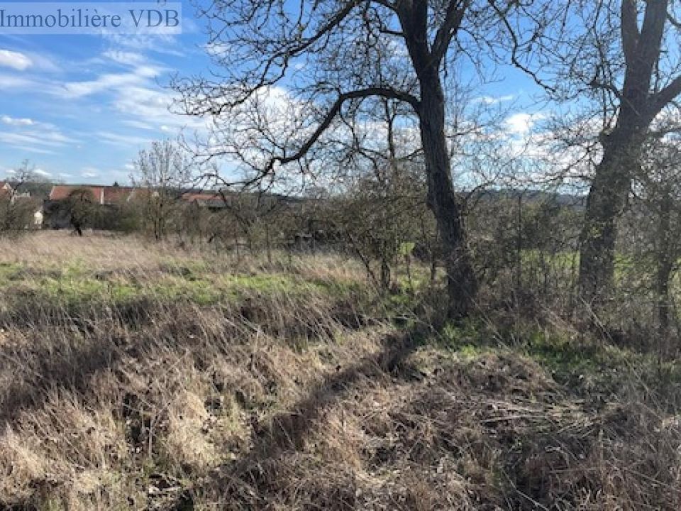 Helårsgrund i Arracourt, Meurthe-et-Moselle - foto 2
