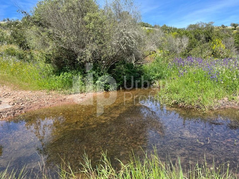 Landejendom i Safara e Santo Aleixo da Restauracao, Beja - foto 3