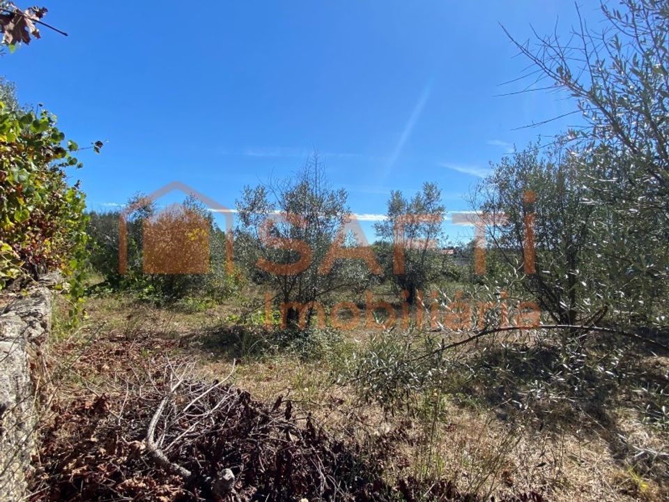 Helårsgrund i Tondela, Viseu - foto 5
