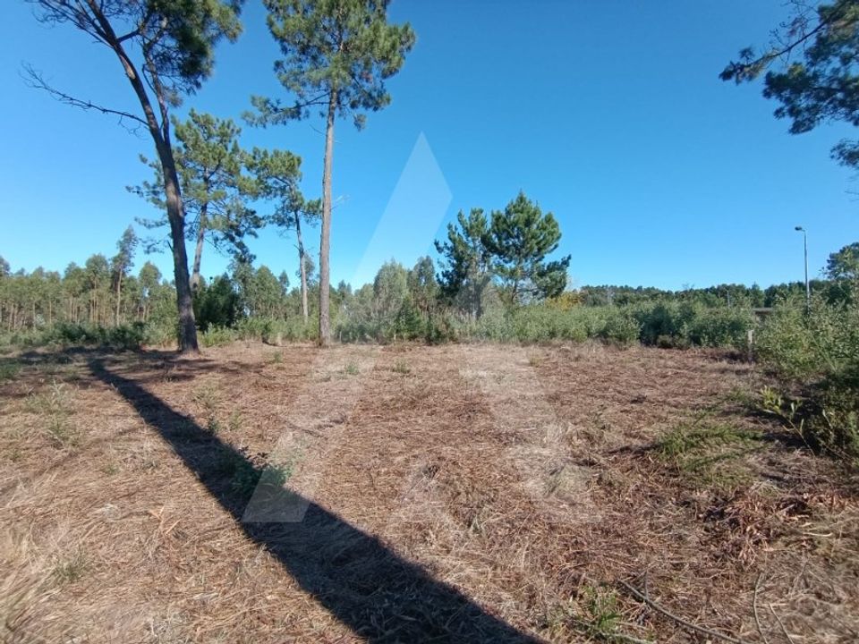 Helårsgrund i Ilhavo, Aveiro - foto 1