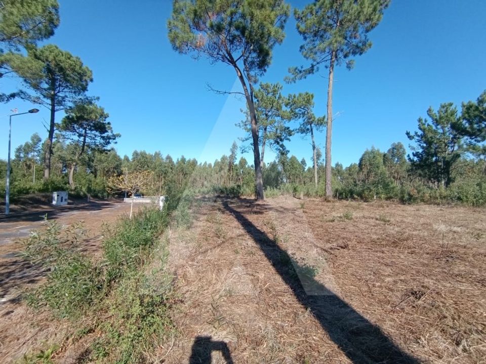 Helårsgrund i Ilhavo, Aveiro - foto 2