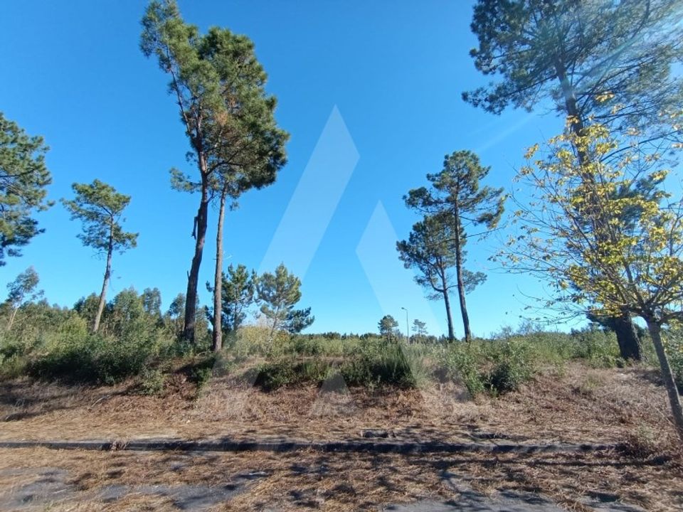 Helårsgrund i Ilhavo, Aveiro - foto 5