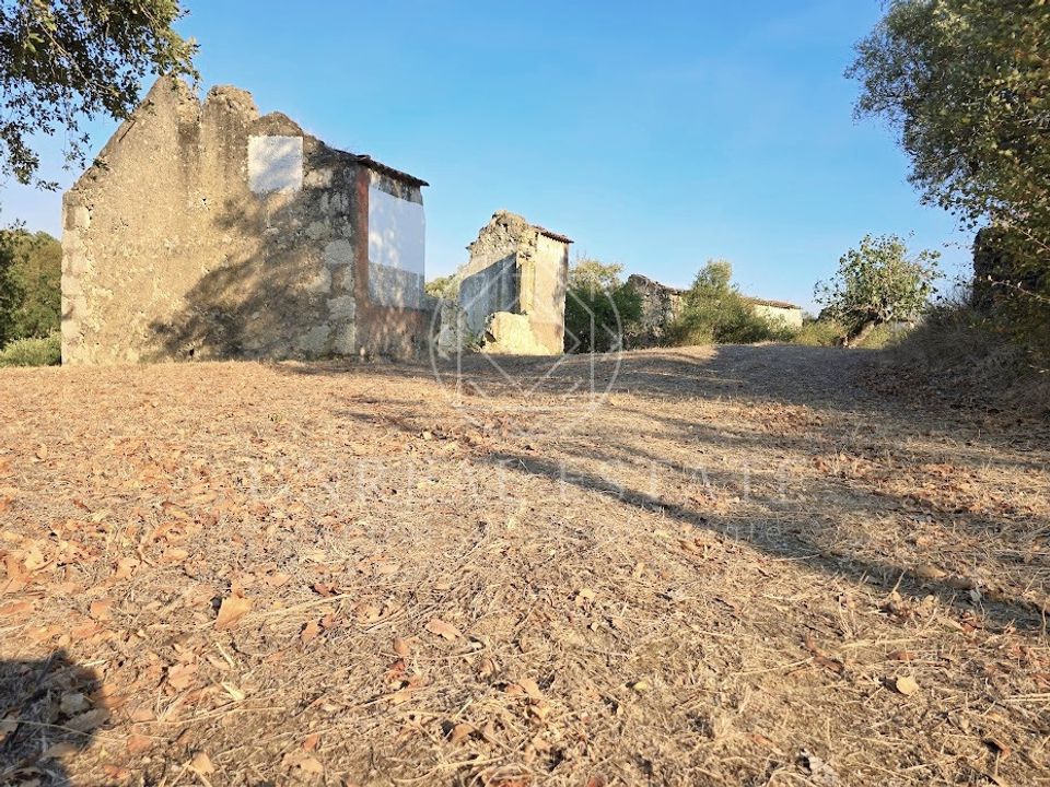 Helårsgrund i Torres Novas, Santarem - foto 1