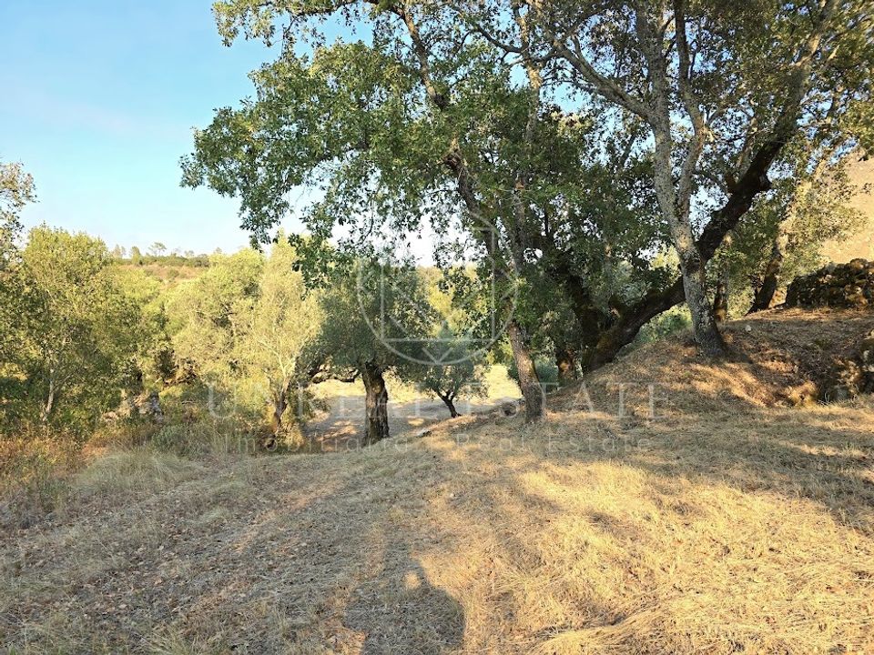 Helårsgrund i Torres Novas, Santarem - foto 5